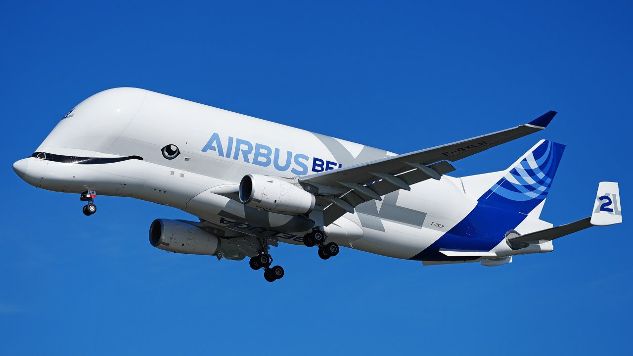 Beluga XL ima zelo prepoznaven videz z velikim kitovim očesom in usti.